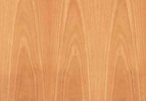 Gravitate: Beech (Timber)