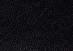 Vinyl Ebony