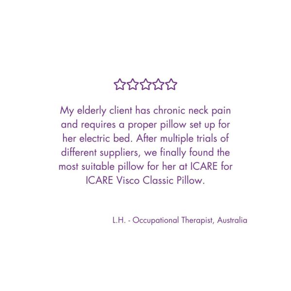 Icare Classic Pillow